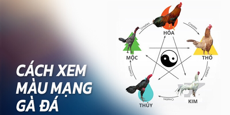 Định nghĩa chính xác thuật ngữ hot làng chọi gà 2024 Định nghĩa chính xác thuật ngữ hot làng chọi gà 2024