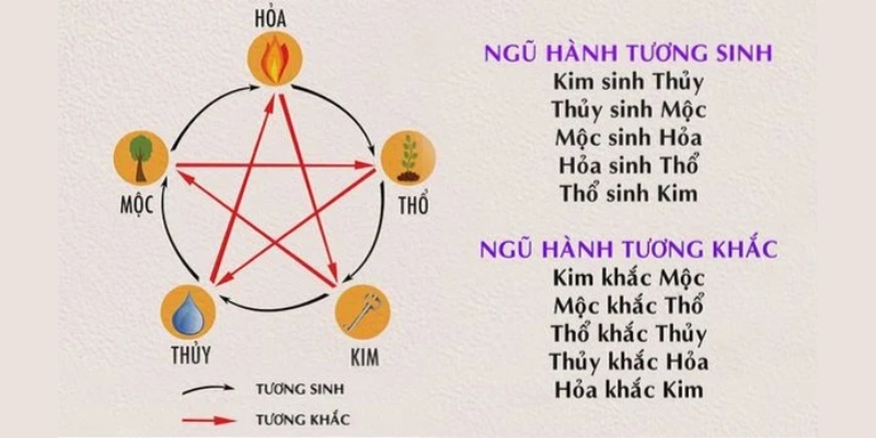 Cách chọn màu mạng theo ngũ hành cho gà Cách chọn màu mạng theo ngũ hành cho gà