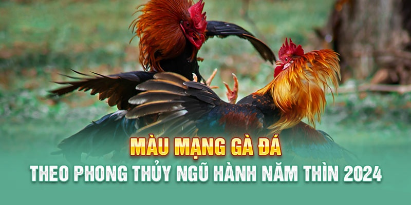 Phân loại những loại màu mạng gà đá chuẩn 2024 Phân loại những loại màu mạng gà đá chuẩn 2024